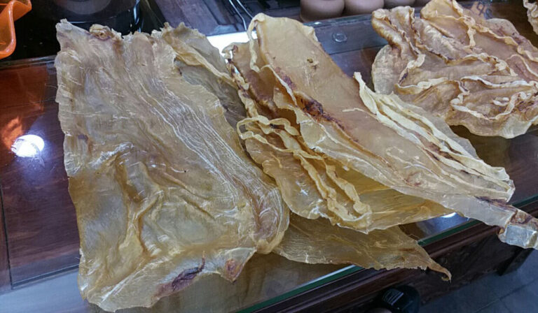 91 Totoaba Swim Bladders Worth $1.4M Smuggled in Fish Fillet Shipment Seized in Arizona