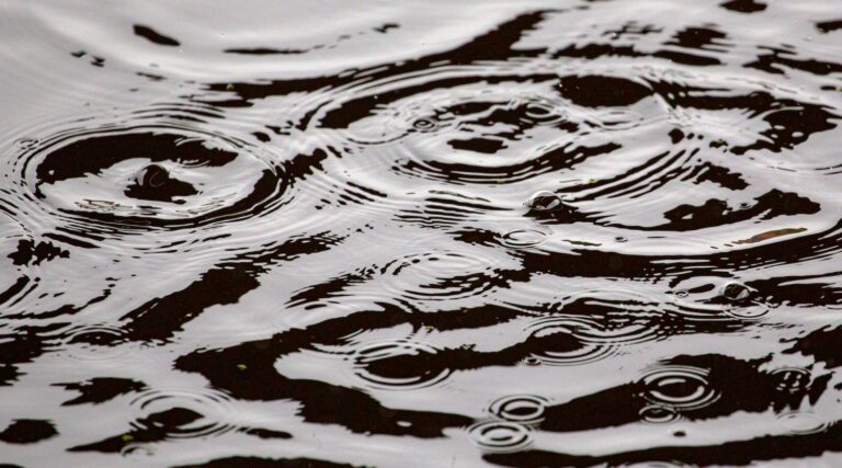 Weird Ripples on Lake Merritt Surface Forewarns Low Oxygen Levels Leading to Algal Bloom, Expert Says