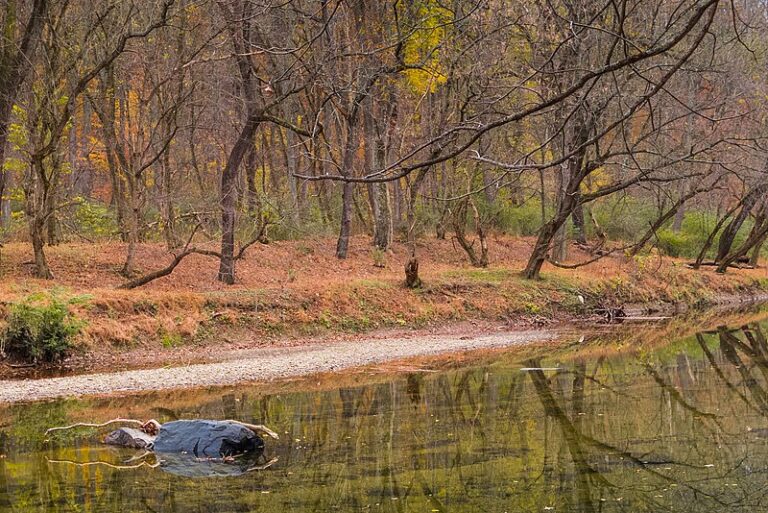 Maryland Gunpowder River Turns Orange with Muddy Runoff from Large Housing Construction Site