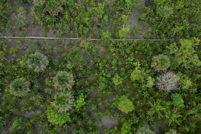 La mousson sud-américaine poussée à une déstabilisation critique