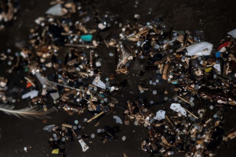 La pollution atteint les monts Fuji et Oyama au Japon à cause des microplastiques