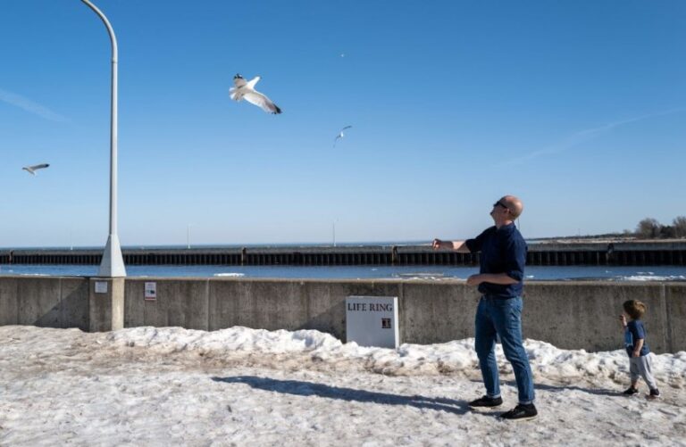 Les tempêtes solaires déforment la boussole naturelle des oiseaux, les faisant se perdre pendant la saison de migration