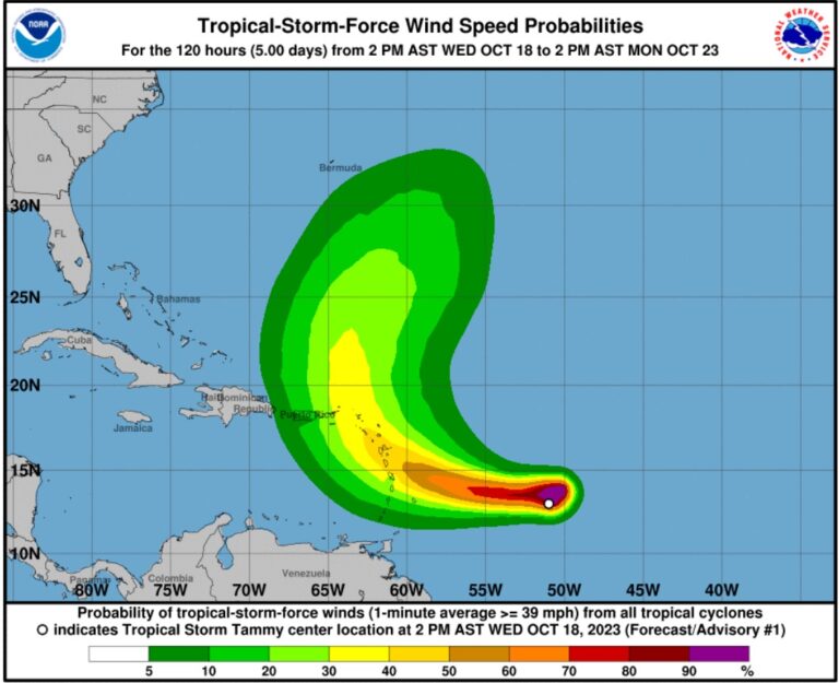Tammy se transforme en tempête tropicale et menace les Caraïbes de fortes pluies et de vents