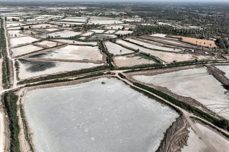 IRAQ-CLIMATE-FISH