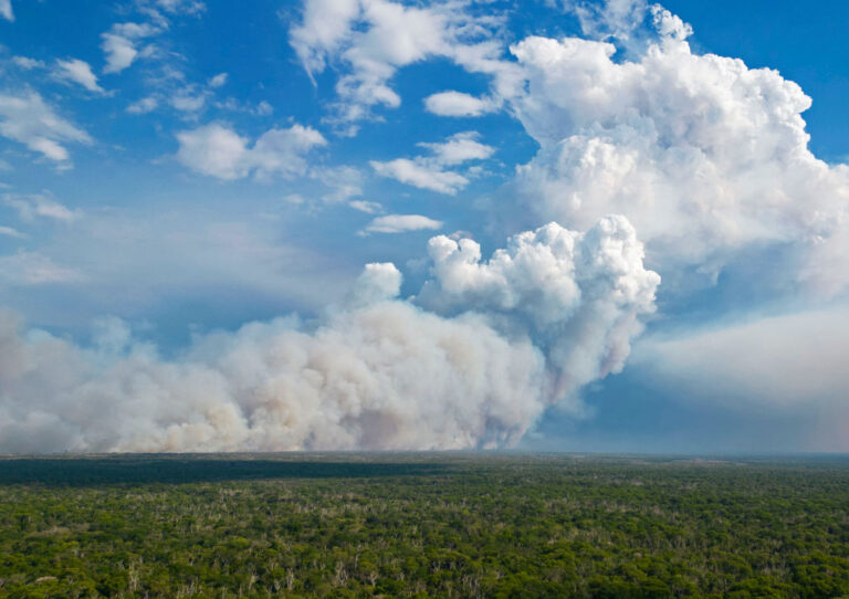 BRAZIL-PANTANAL-ENVIRONMENT-FIRE-DROUGHT
