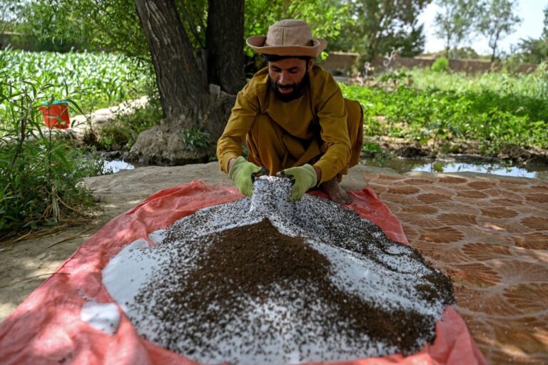 AFGHANISTAN-TALIBAN-ANNIVERSARY