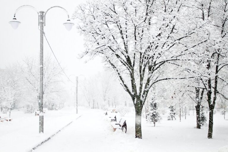 Winter Storm Warning