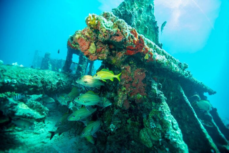 US-ENVIRONMENT-OCEANS
