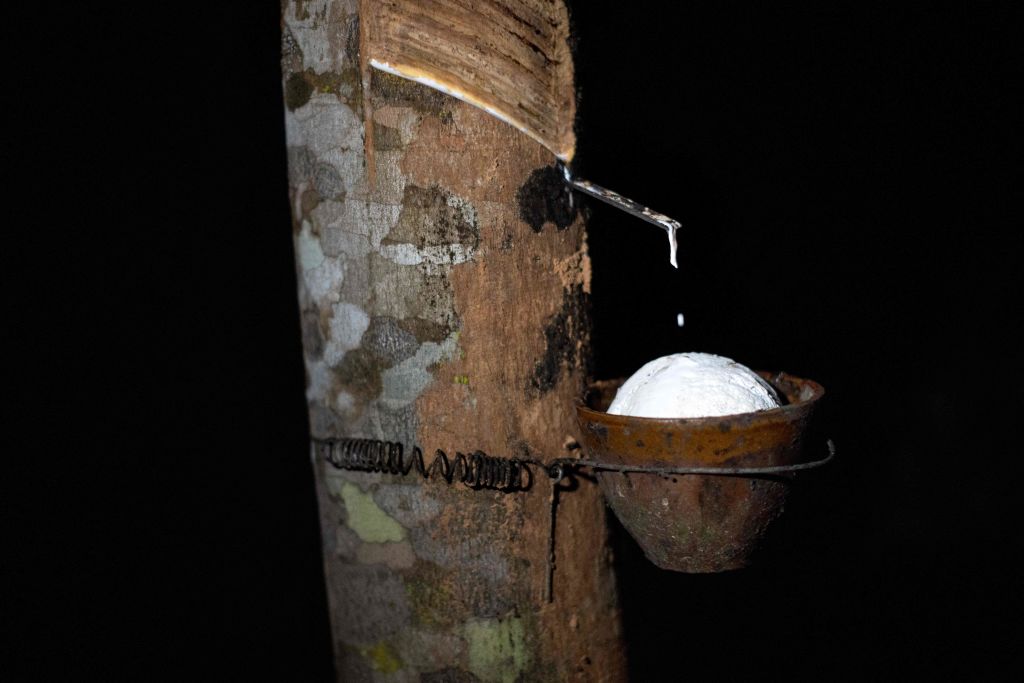 TOPSHOT-THAILAND-ENVIRONMENT-RUBBER