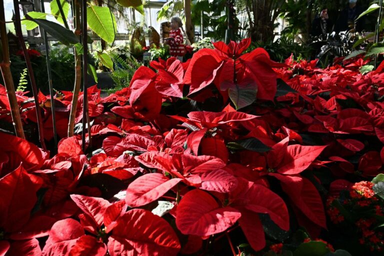 US-GARDEN-HOLIDAY-EXHIBIT