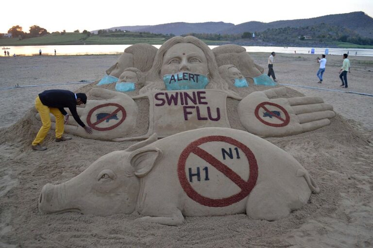 swine flu