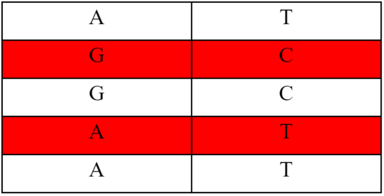 DNA Strand with Mutations