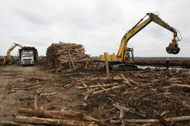 INDONESIA-ENVIRONMENT-CLIMATE-PEATLAND