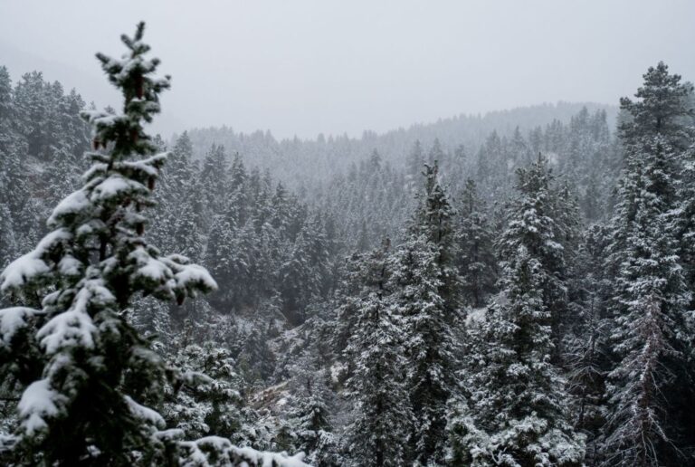 Boulder, Colorado snow