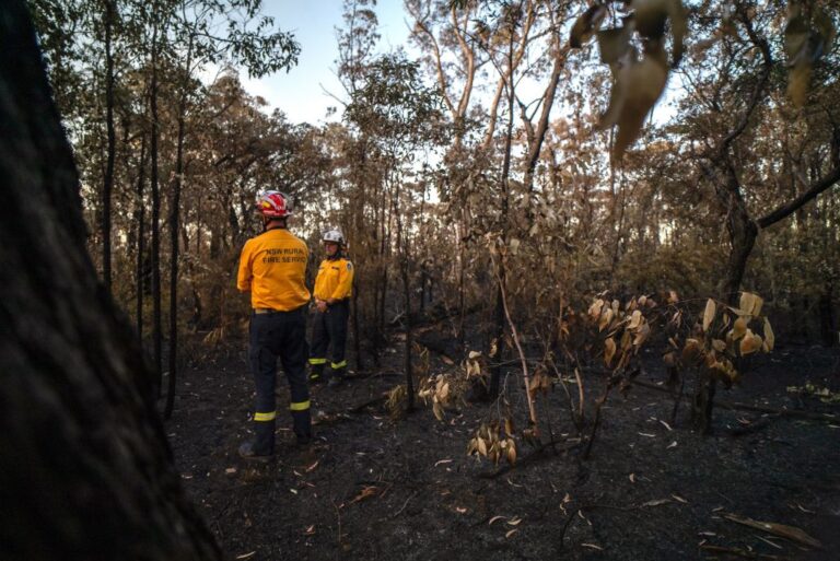 Australia bushfire