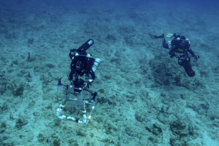 Underwater sea