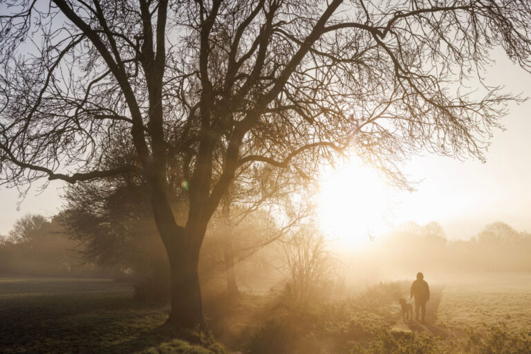 Freezing Fog Grips Parts Of The Country