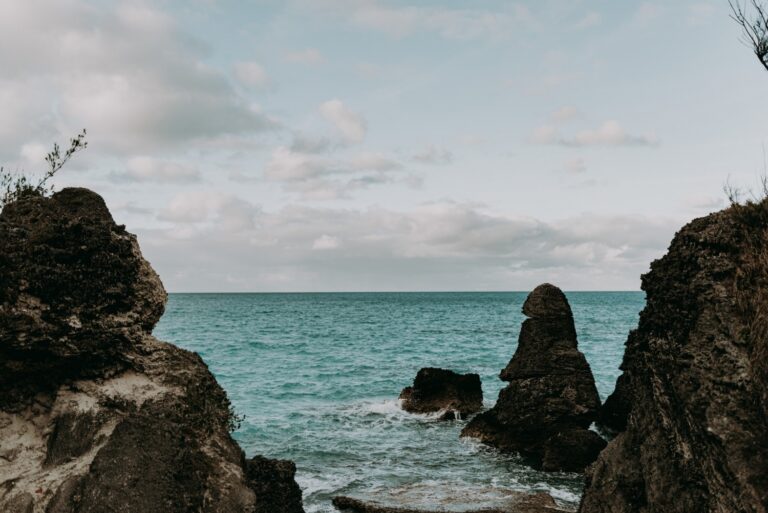 Bermuda Atlantic Time-Series Study