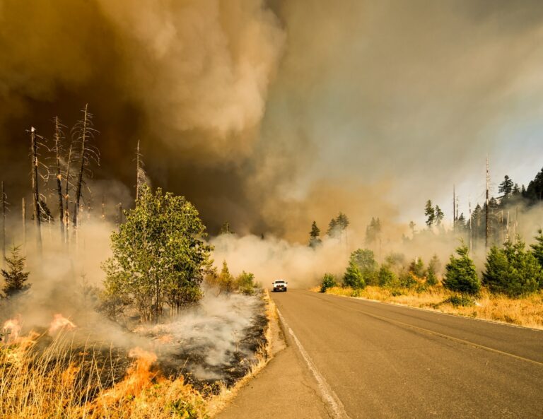 Wildfires