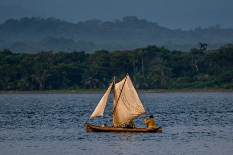 Îles des Caraïbes : des experts demandent des mesures précises sur les conditions sèches alors que la région est sujette à la sécheresse