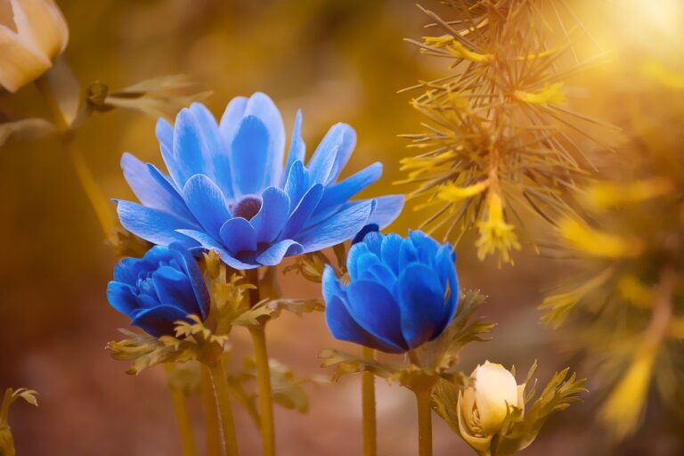 Color of Nature: Why Blue is Rare in Nature as Opposed to Green, Other Colors?