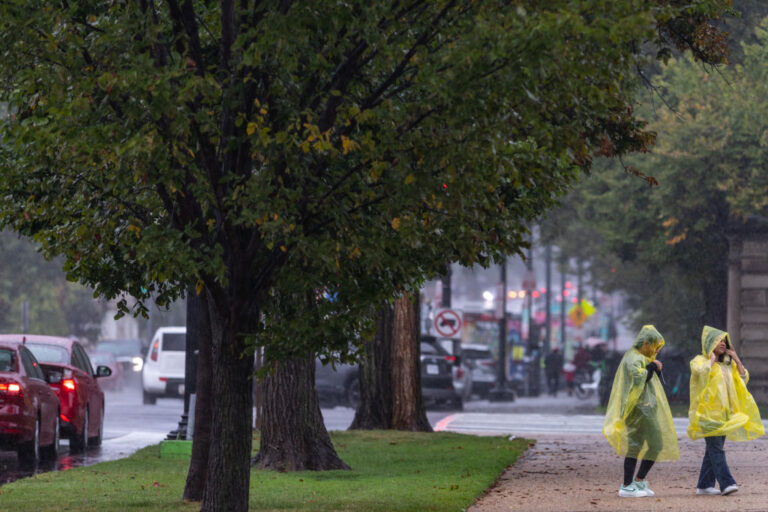 Washington, DC