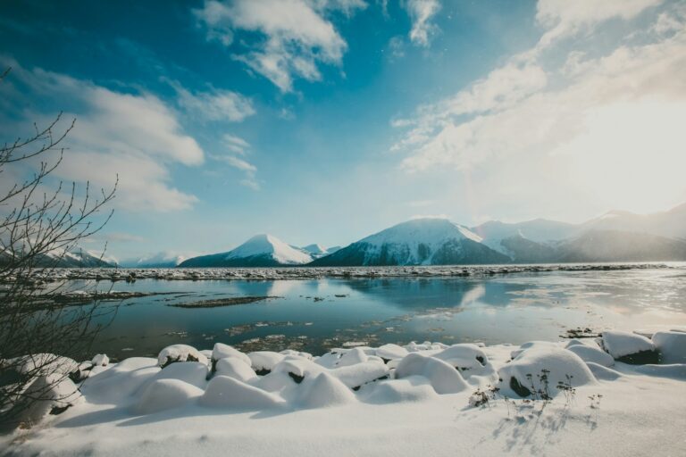Alaskapox: First Human Dies from Animal-Borne Virus in Kenai Peninsula, Infection Likely Came from Stray Cat
