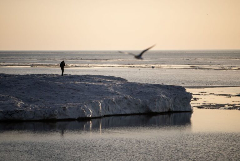 US-CLIMATE-ENVIRONMENT-SOCIETY