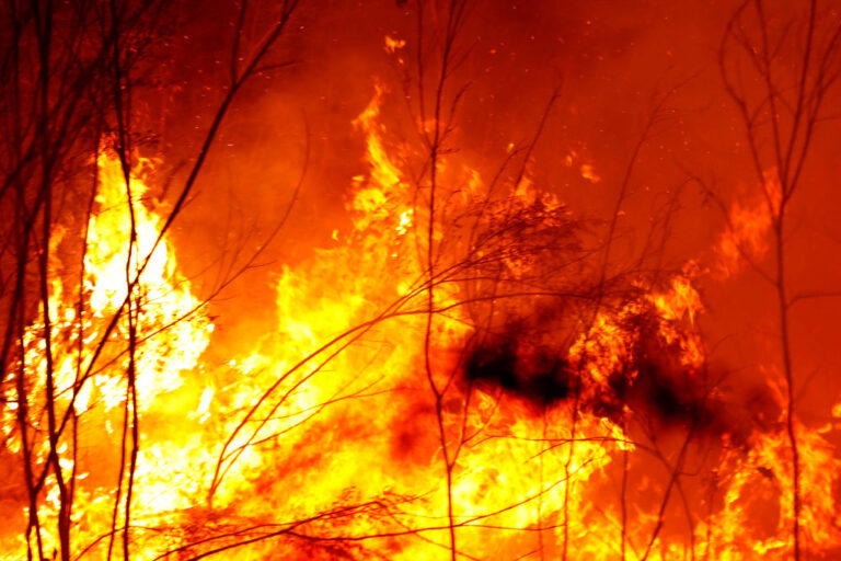 Evacuations Begin Following East Gippsland Bushfires
