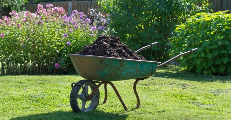 Comment faire et réussir son compost en permaculture ?