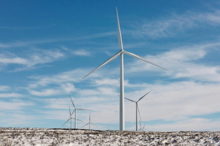 A cluster of wind turbines near Wilton, N.D. Credit: Dan Koeck/The Washington Post via Getty Images