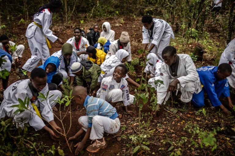 Des projets malavisés de plantation d’arbres en Afrique menacent l’écosystème, préviennent les scientifiques