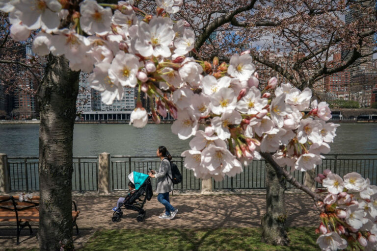 Des températures printanières seront ressenties dans les plaines du sud et dans le Midwest
