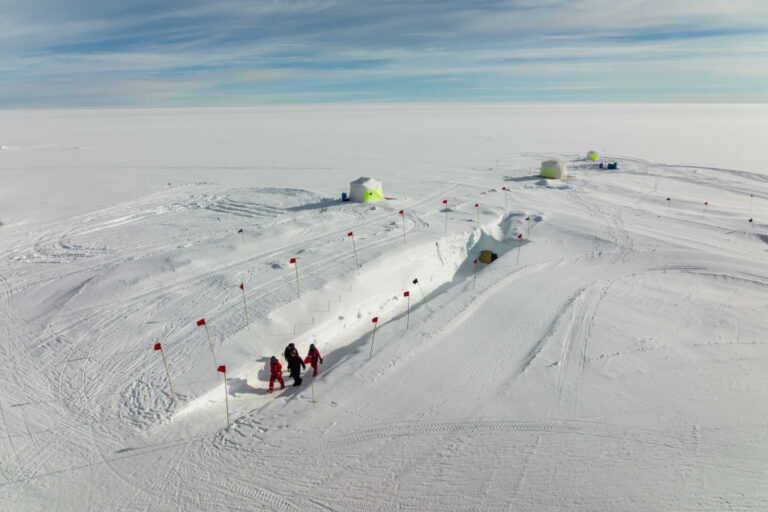 La calotte glaciaire du Groenland alerte les scientifiques : une vaste zone est remplacée par des zones humides et des roches stériles