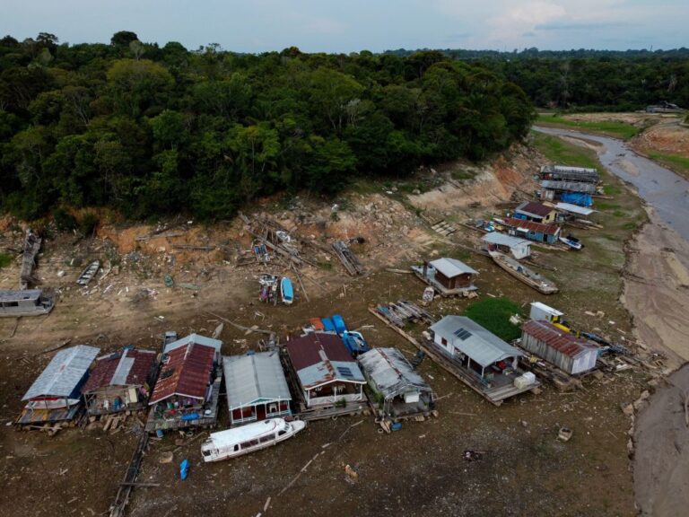 La forêt amazonienne pourrait atteindre un point de bascule d'ici 2050 en raison du dérèglement climatique, les experts appellent à une action immédiate pour restaurer les zones dégradées