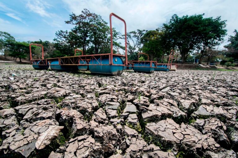 Les scientifiques s'attendent à des températures record en février en raison du réchauffement climatique d'origine humaine et d'El Niño