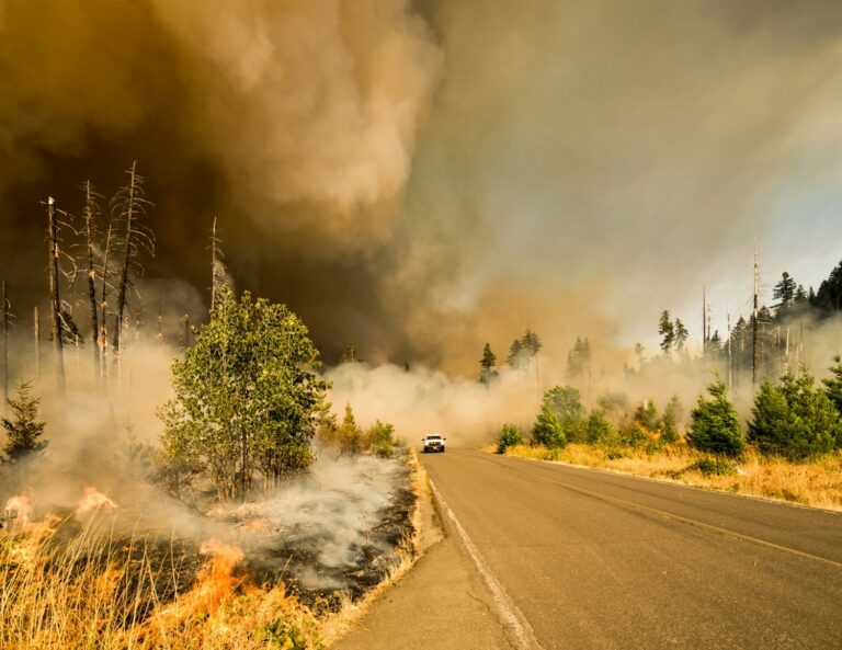 Texas Wildfires: Nuclear Weapons Plant Halts Operation, Causes Evacuations in the Area