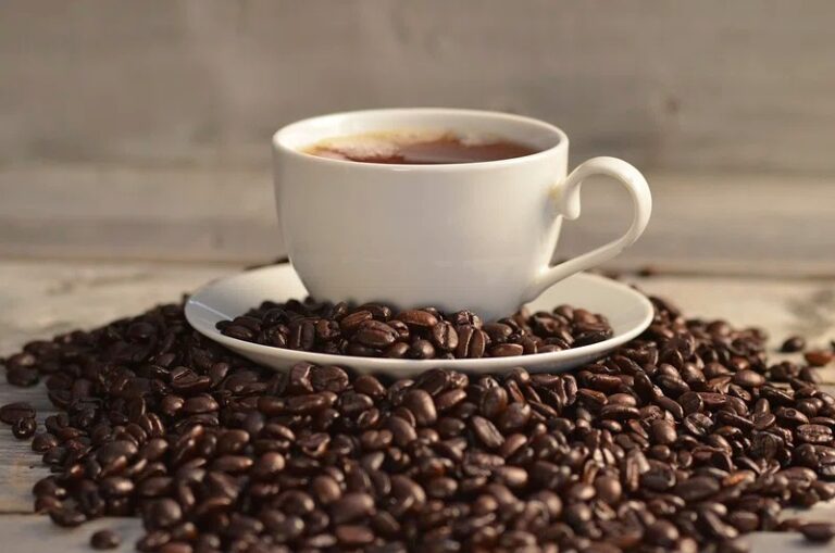 Le café en grains pour une pause café écologique