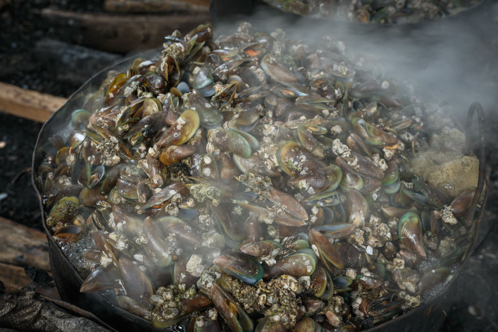 La hausse de la température de la mer rend les coquilles de moules plus poreuses