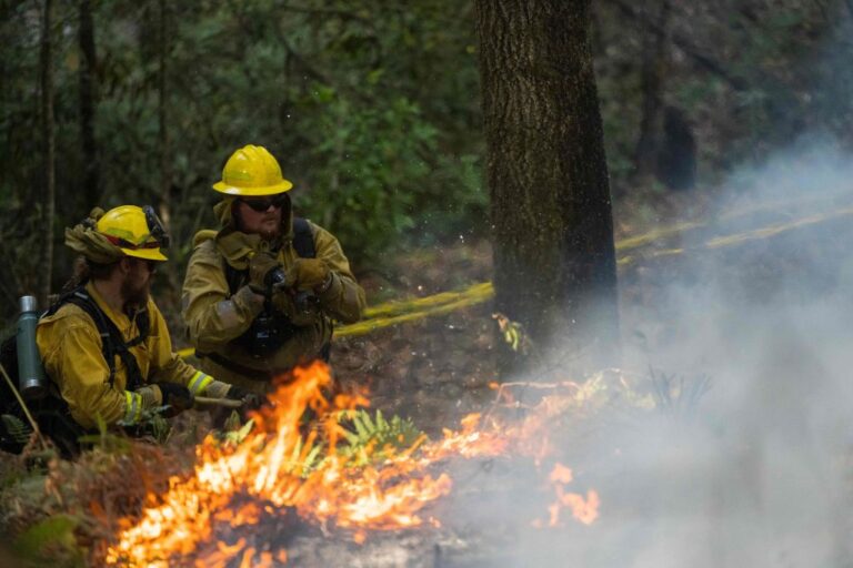 Firefighters with California State Parks