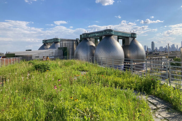 The treatment plant's 'digester eggs' loom large over the main garden at the Kingsland Wildflowers Green Roof in Brooklyn. Credit: Lauren Dalban/Inside Climate News