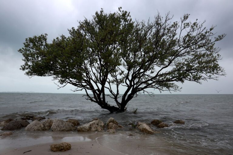 Rain And Seasonal King Tide Briing Coastal Flooding To Florida Shoreline Communities