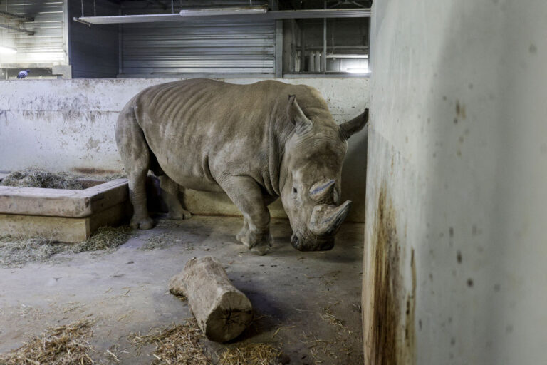 FRANCE-ANIMALS-ZOO