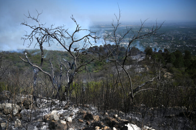 Plus de 50 000 Californiens sont morts prématurément en une décennie en raison de leur exposition aux particules toxiques de la fumée des incendies de forêt