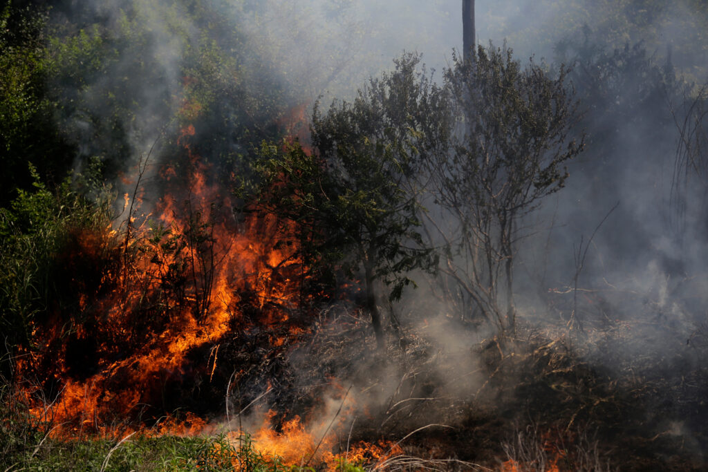 Le défrichage des zones forestières peut parfois impliquer de brûler la zone après l'avoir défrichée avec des bulldozers. Crédit : Periodistas por el Planeta/Abogados Ambientalistas