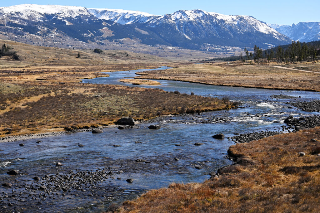 The Green River, the Colorado River’s largest tributary, runs through a large meadow in Sublette County, Wyo. Credit: RJ Sangosti/MediaNews Group/The Denver Post via Getty Images
