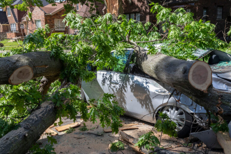 A car is crushed by a fallen tree as the remnants of Tropical Storm Cristobal hit Detroit in June 2020. Credit: Jim West/Universal Images Group via Getty Images