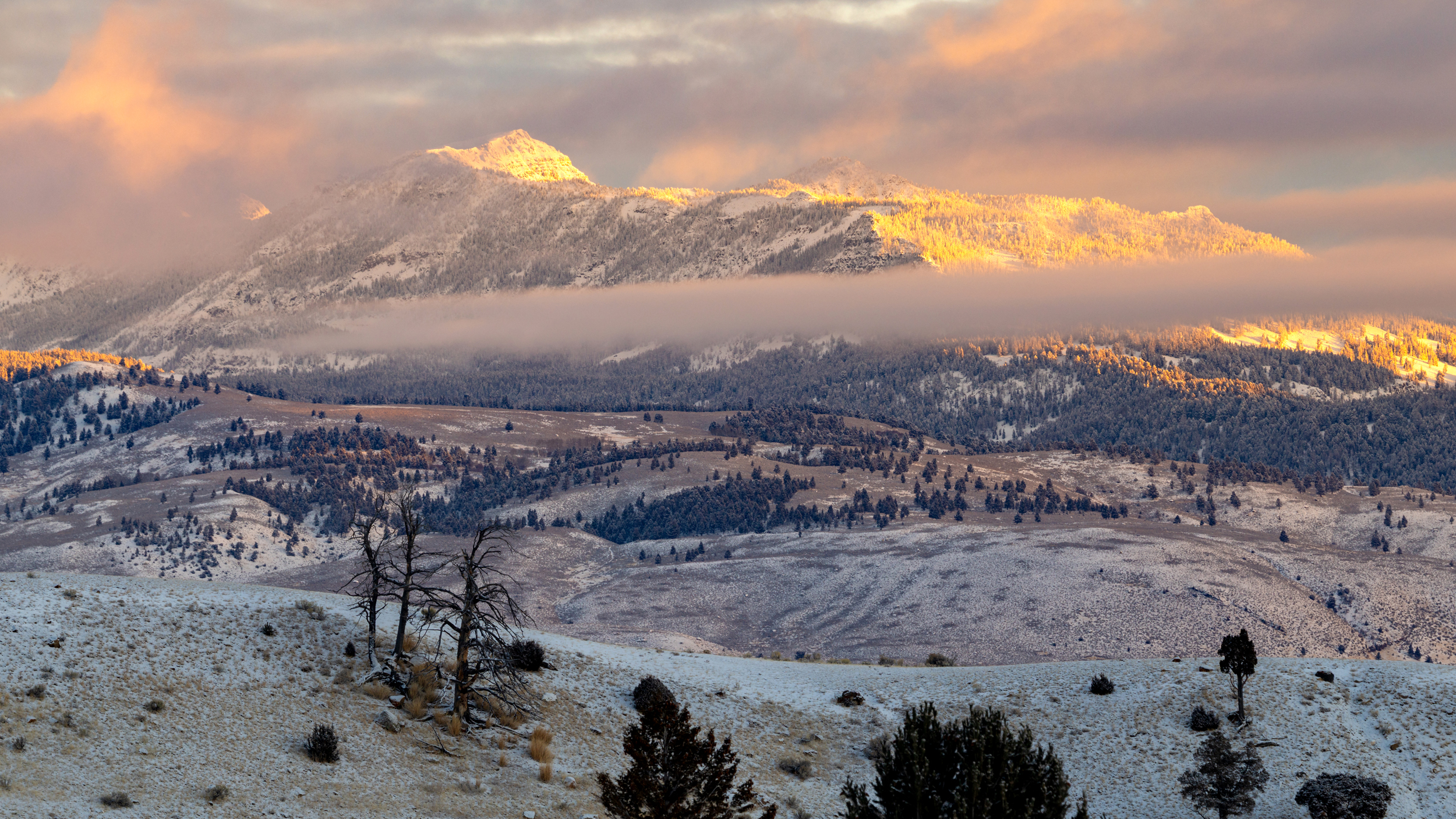 Les premières lumières atteignent Monitor Peak le 3 décembre dans le parc national de Yellowstone. Crédit : Jacob W. Frank/NPS