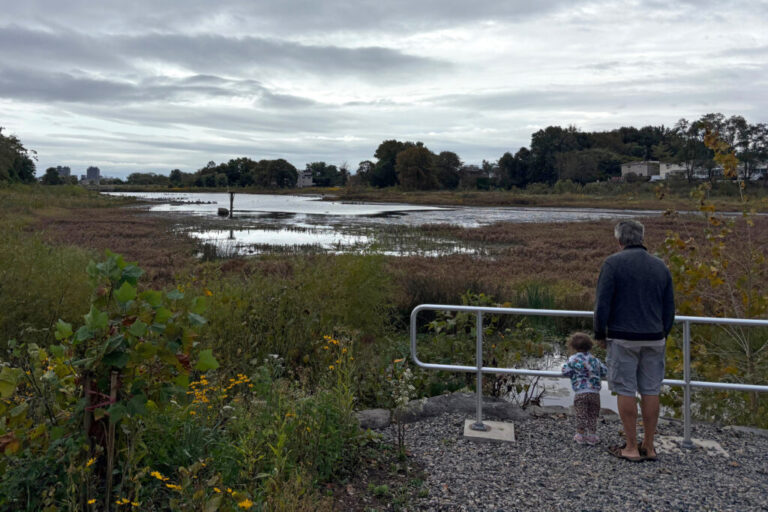 An adult and child look out over the bluebelt on a cloudy day.