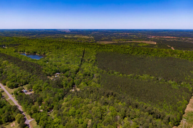 The developer of Project Marvel, a proposed massive hyperscale data center, has requested the rezoning of additional agricultural land in southwest Bessemer, Ala. Credit: Lee Hedgepeth/Inside Climate News